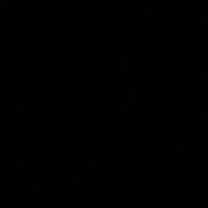 Meet your Posher, Bridan